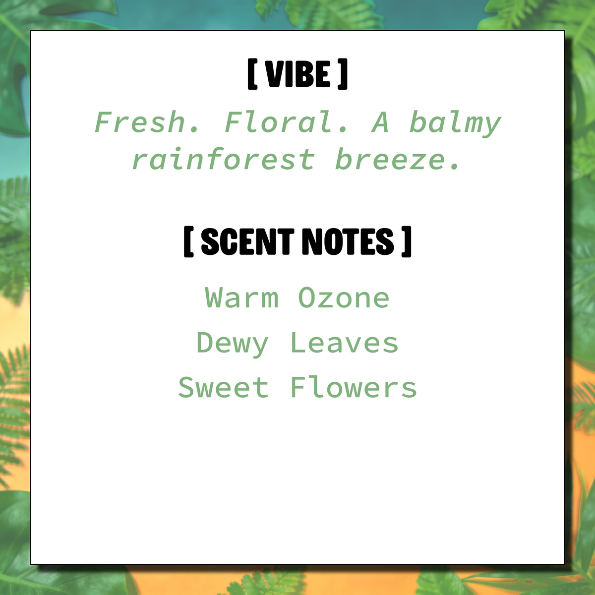 A text-based scent profile card for the Everscents Aroma Pack under-seat car air freshener in the Rainforest scent, describing the scent vibe as ‘Fresh, floral, and a balmy rainforest breeze.’ and lists the scent notes: warm ozone, dewy leaves, and sweet flowers. The text is written in black and green on a white central panel inside a thin frame featuring green tropical leaf imagery.
